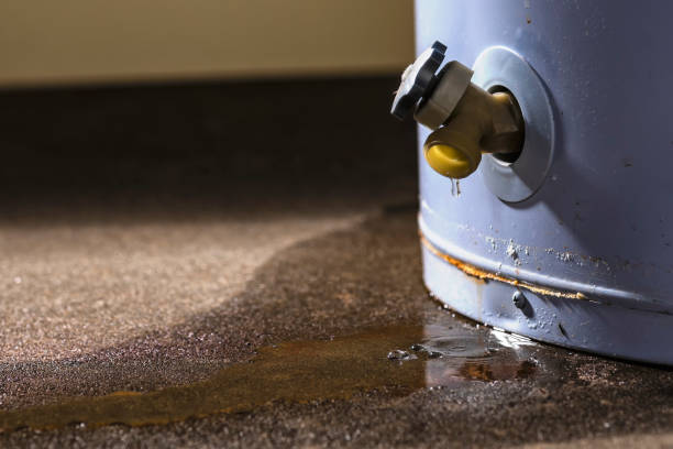 Best Mold removal after water damage  in Brookhaven, MS