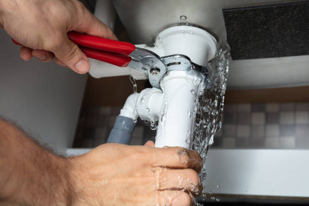 Best Water damage mitigation services  in Brookhaven, MS