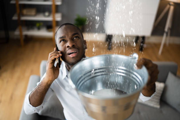 Best Fire Damage Restoration  in Brookhaven, MS