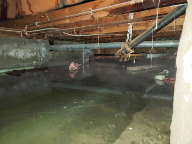  Brookhaven, MS Water damage restoration Pros