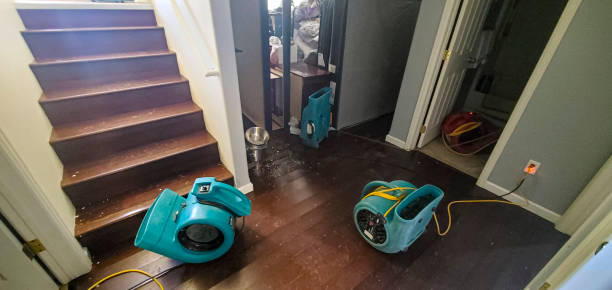 Best 24/7 water damage repair  in Brookhaven, MS
