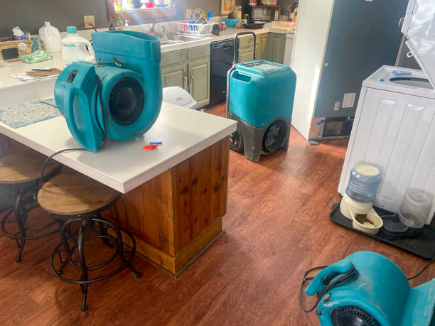 Best Water damage restoration near me  in Brookhaven, MS