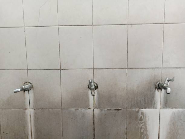 Best Sewage cleanup and water damage restoration  in Brookhaven, MS