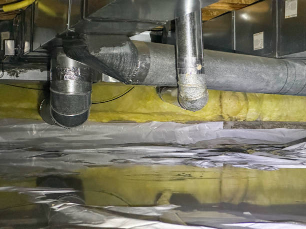 Best Professional water damage repair  in Brookhaven, MS