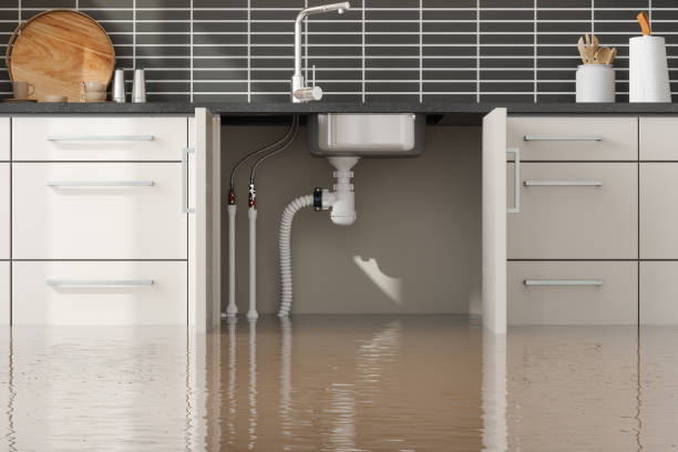 Best Flood restoration services  in Brookhaven, MS