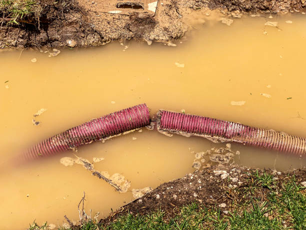 Best Water damage repair service  in Brookhaven, MS