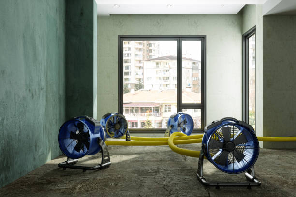 Best Mold removal after water damage  in Brookhaven, MS